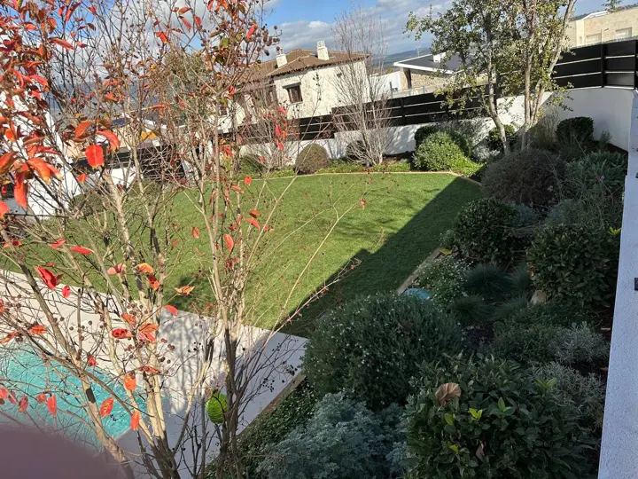 Piscina y jardín · 2022