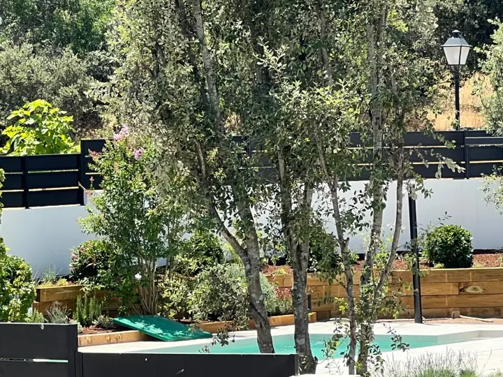 Jardín junto a la piscina · 2022